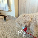 Cat Ball - Brinquedo Interativo para Gatos e Cães