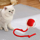 Cat Ball - Brinquedo Interativo para Gatos e Cães
