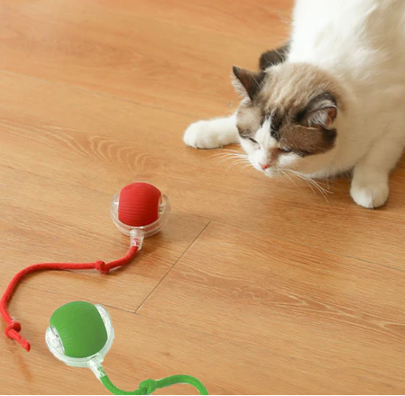 Cat Ball - Brinquedo Interativo para Gatos e Cães